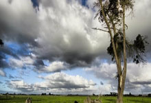 TOP15!“哪吒”“闹”了世界动画电影大海.