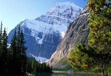 英媒:熱刺斥資1.2億英鎊簽下武斯科維奇!.