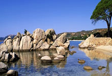 他就是足坛永远的球王C罗！这技术真的太惊艳了！.